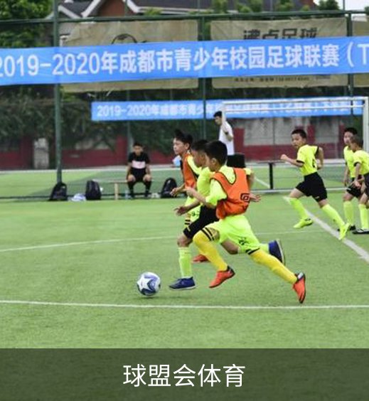 关于球盟会体育